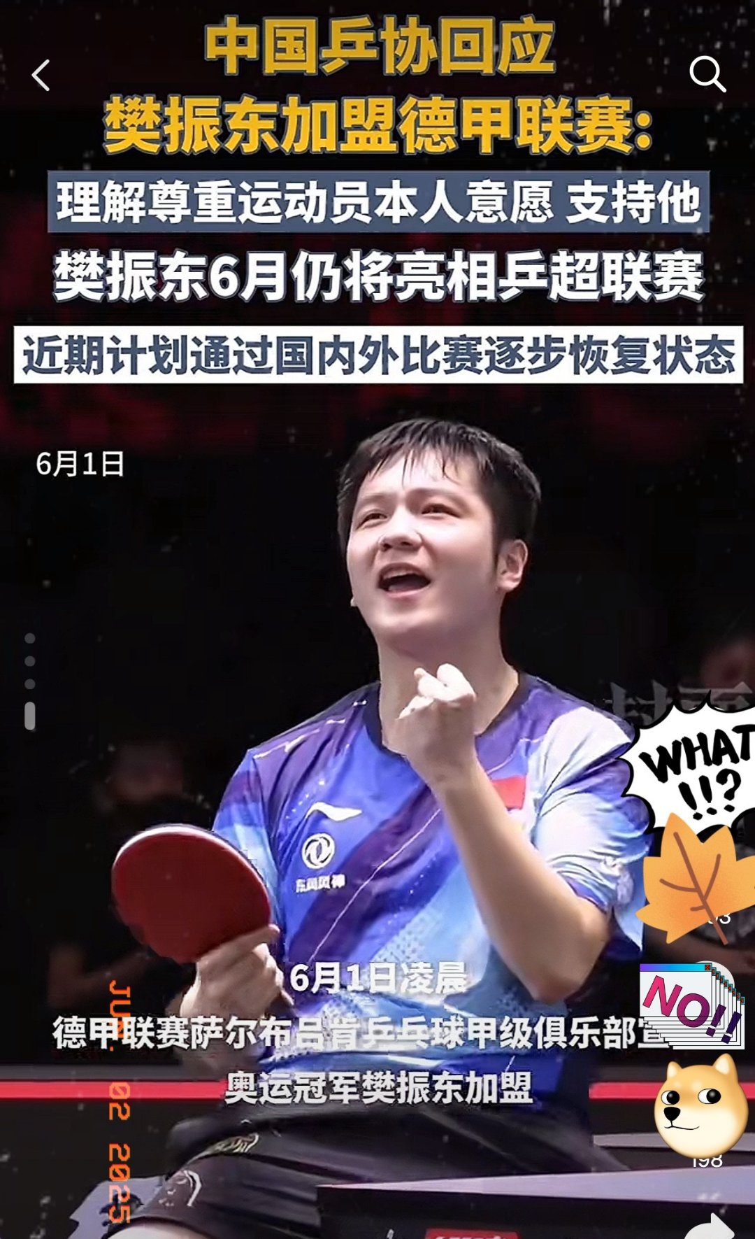 开云体育平台APP-法国乒乓球队强势瑞典乒乓球队，樊振东爆发神勇的简单介绍