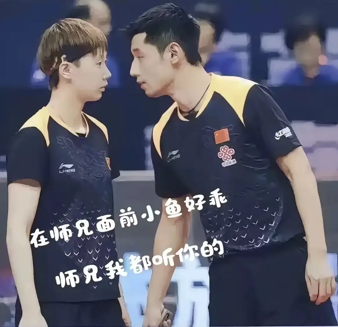 瑞典乒乓球队横扫日本乒乓球队,张继科送出助攻 瑞典乒乓球队横扫日本乒乓球队,张继科送出助攻