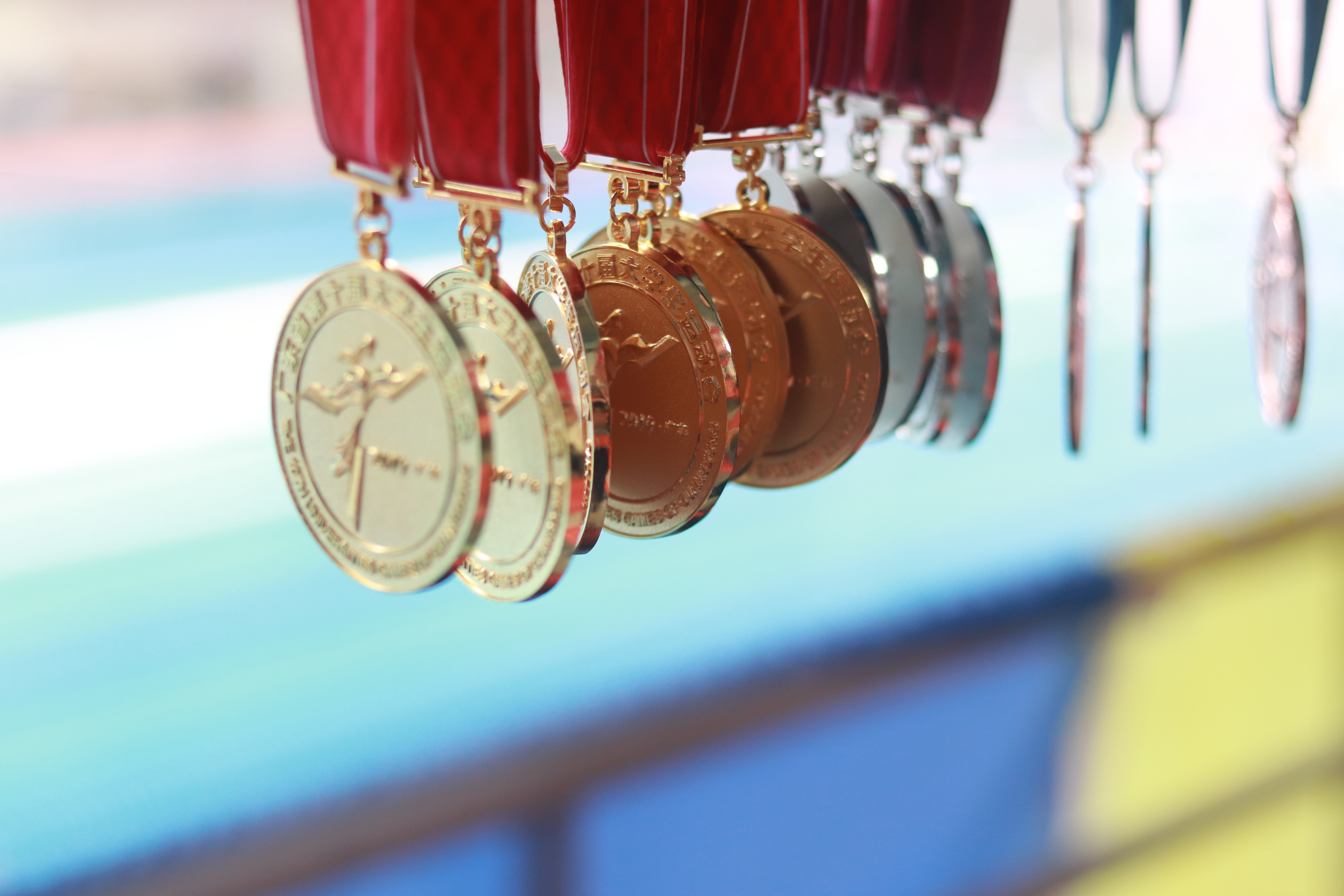 冷静与激情交织！游泳完美收官的简单介绍