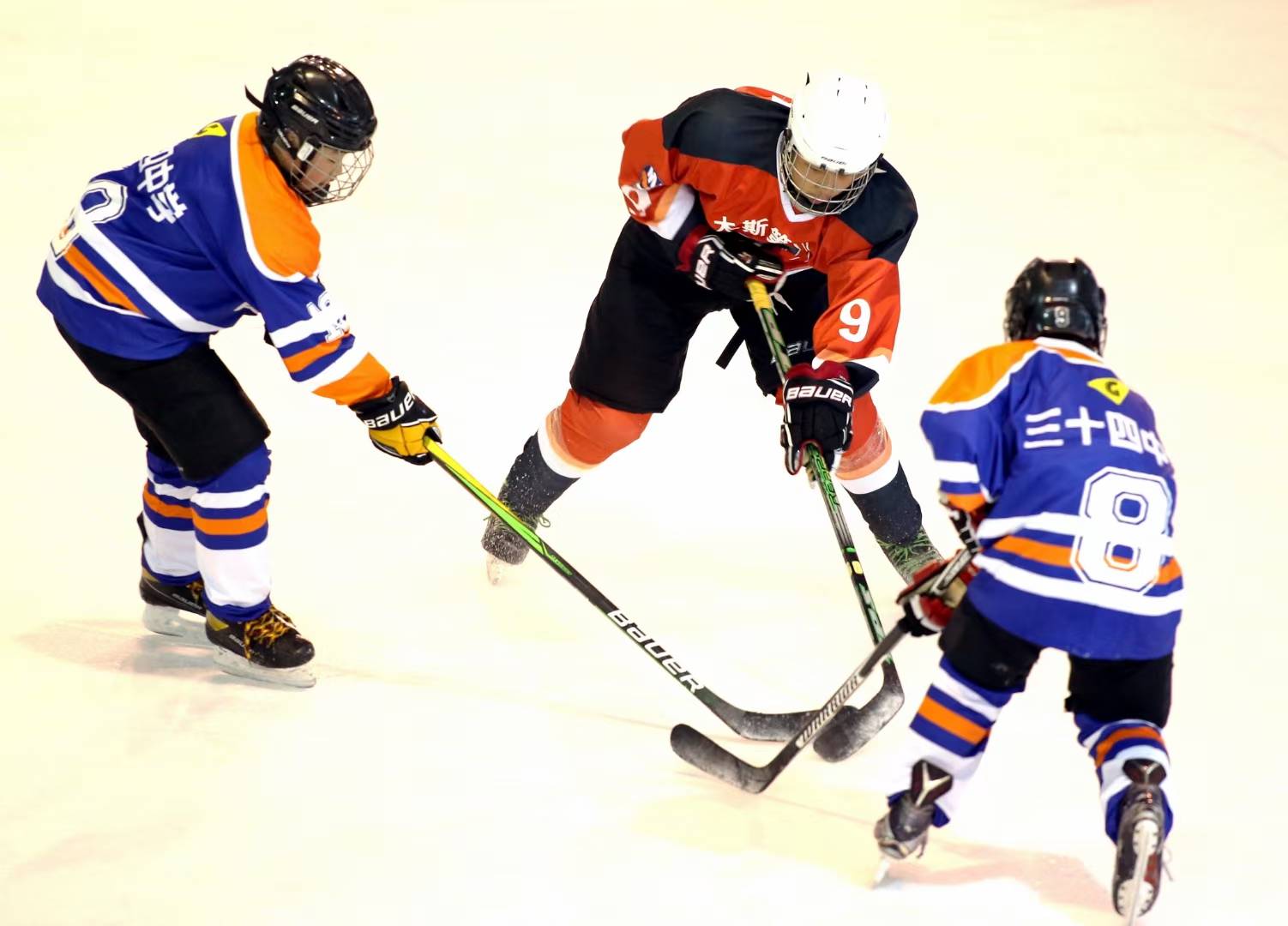 冰球赛季收官，冠军榜单揭晓的简单介绍