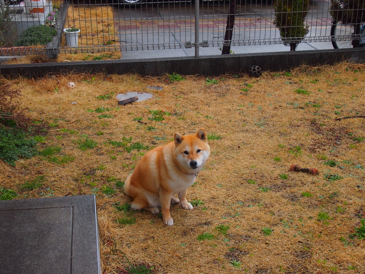 虚拟巅峰对决，恩比德空降迈阿密，率热火跨越大洋横扫江苏！