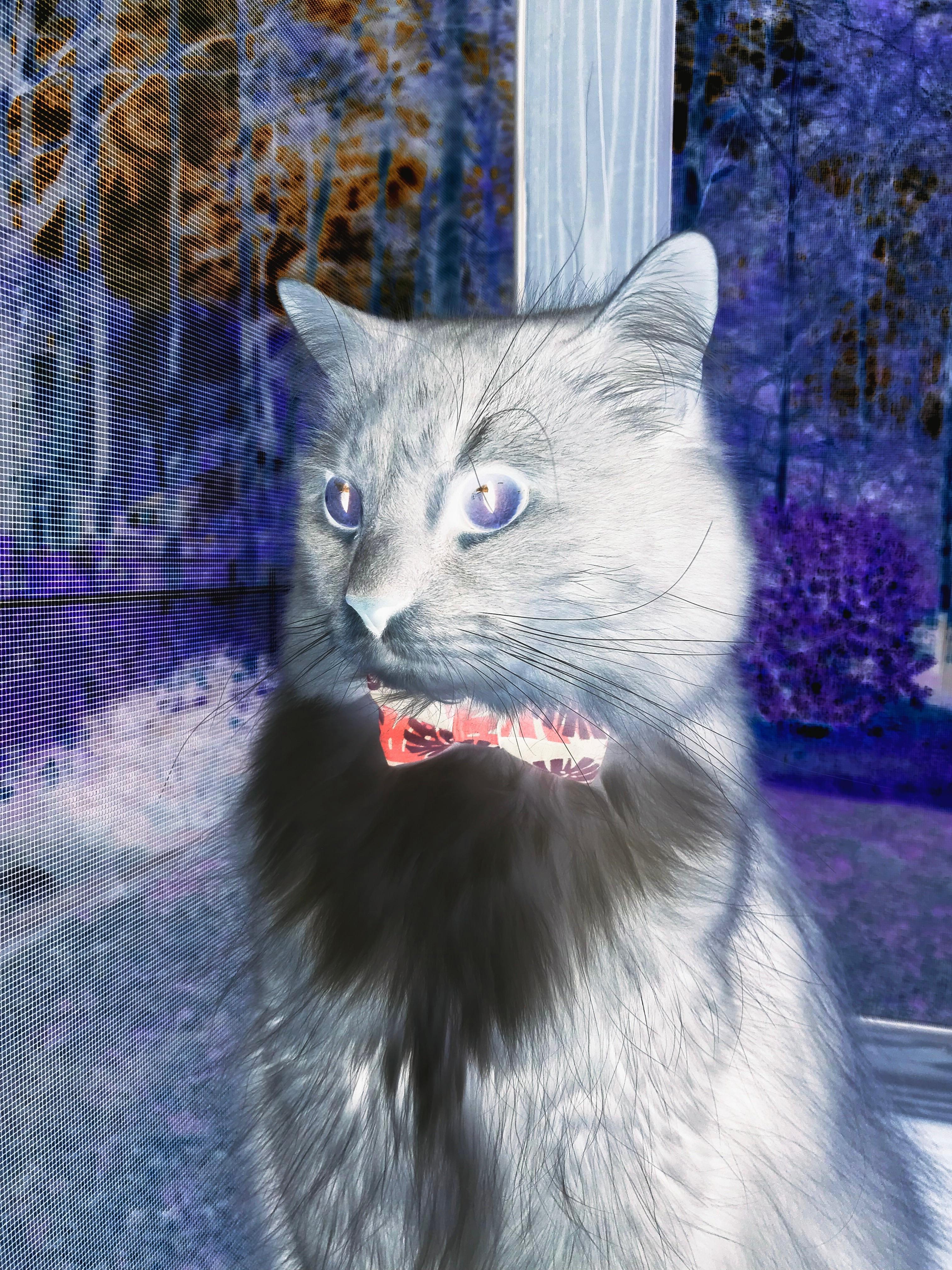 开云体育app-罗德里的艺术品，当完美后腰定义比赛