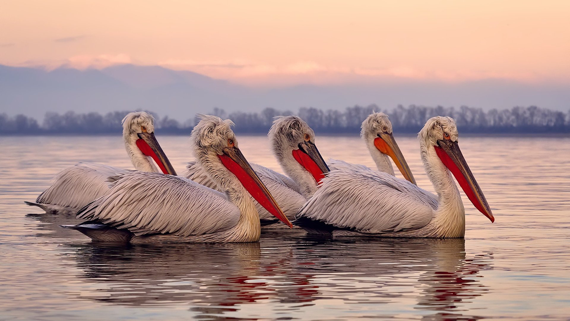 零点四秒,一粒星辰