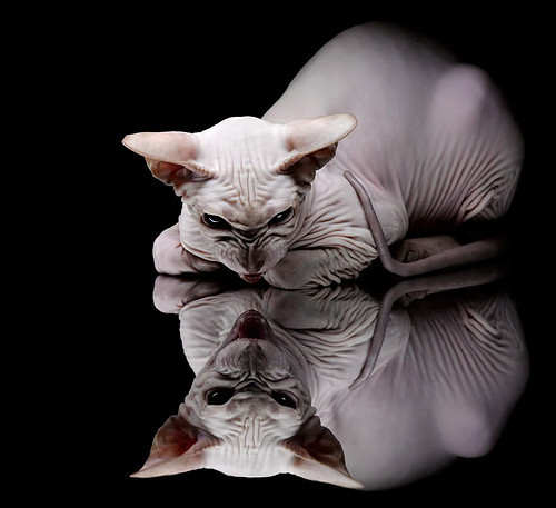 唯一性，当克罗地亚的韧劲遇上本泽马的时区—两种决胜法则的辉映