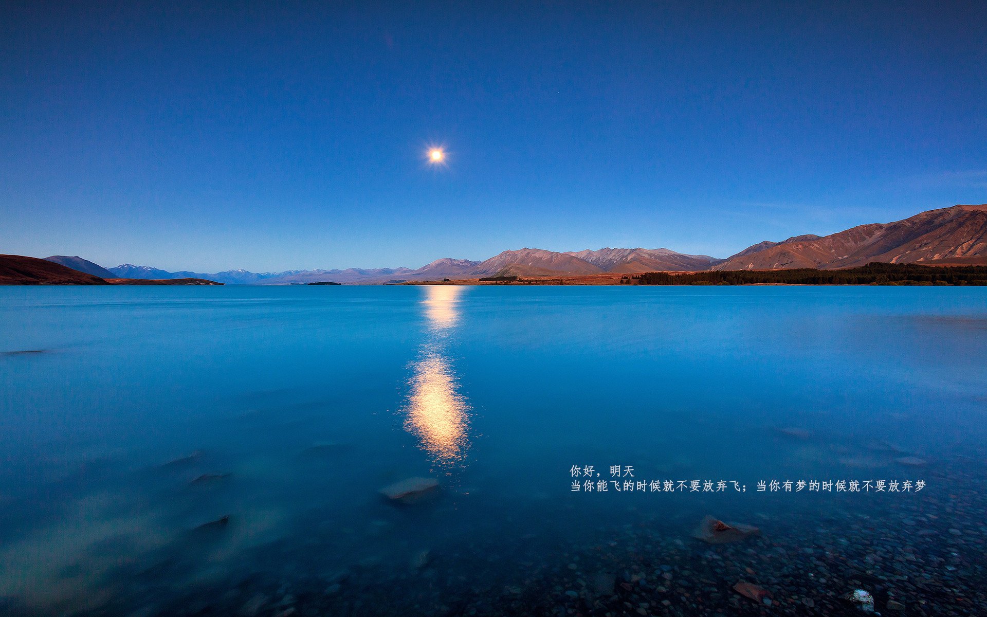 极昼永焰,当塔图姆在太阳风暴中刻下唯一坐标