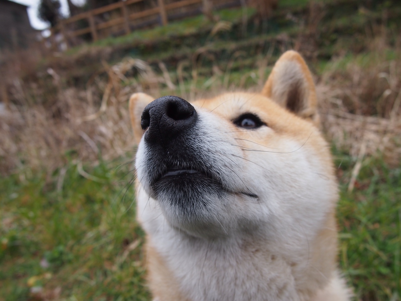 开云体育在线-乌拉圭炮火连天，国际米兰叹息之墙轰然倒塌！蒂亚戈关键战一剑封喉