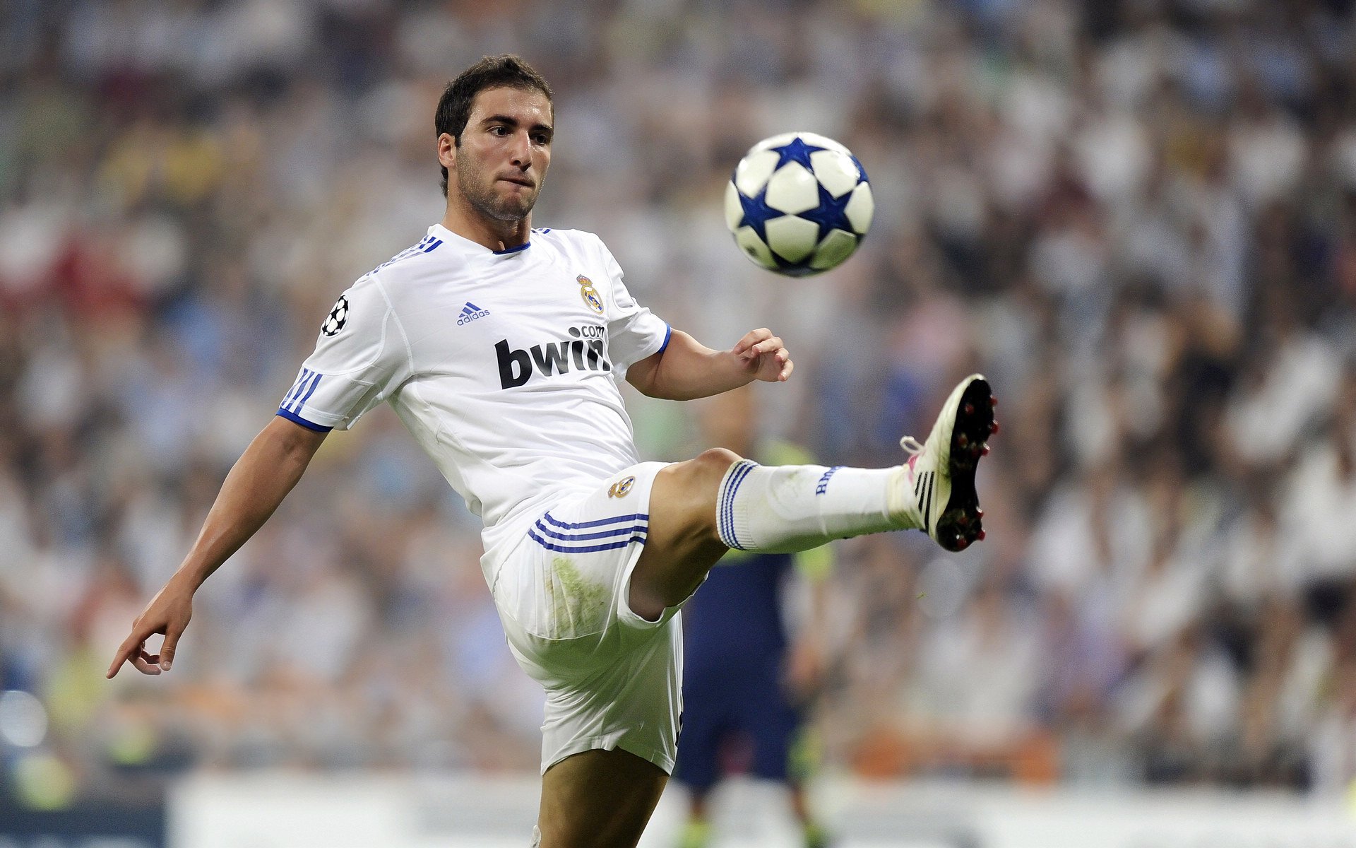 终点线前的助攻,当哈利伯顿在F1最后一圈改写命运