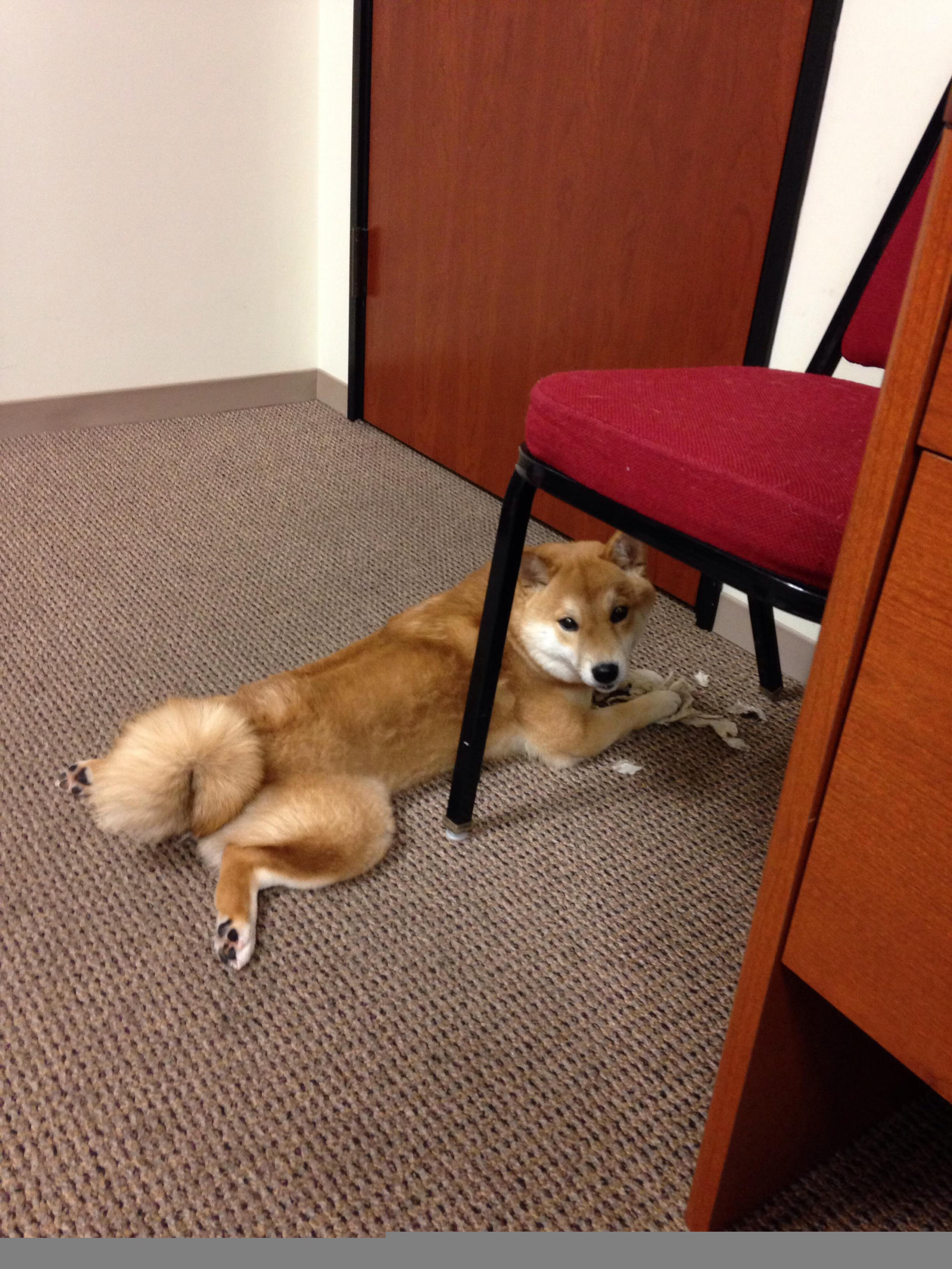 足球淘汰赛之夜,乌克兰惊险过关加纳,苏亚雷斯无解表现征服对手