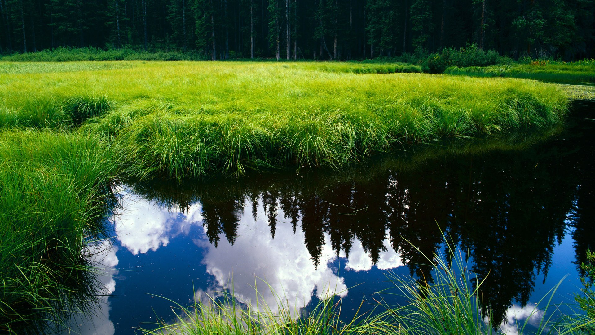 欧冠之夜，拉什福德爆发梅开二度，阿根廷新星绝杀阿森纳改写命运