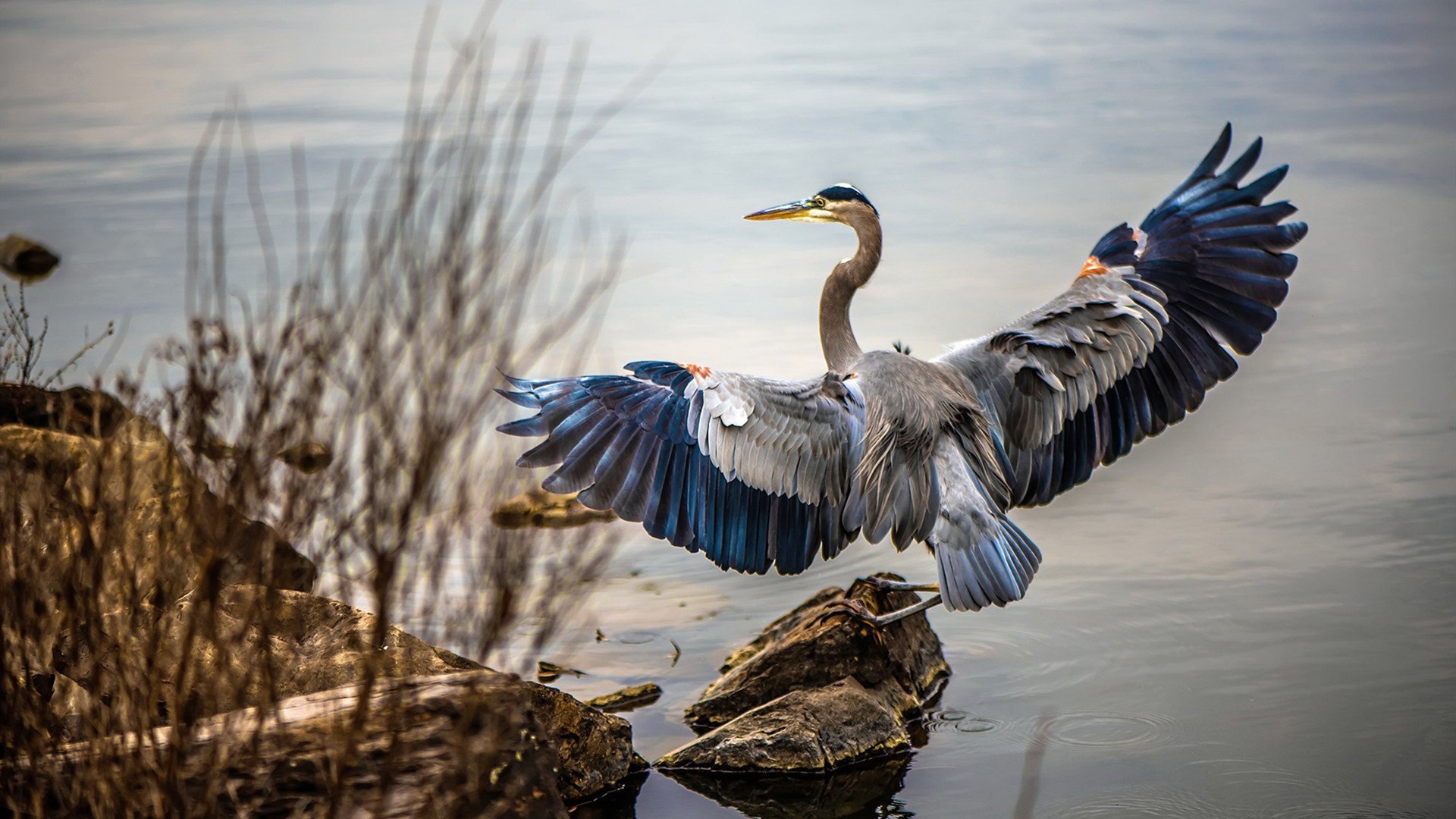 瑞士钟表匠精准调校擒摩洛哥，哈弗茨化身关键齿轮