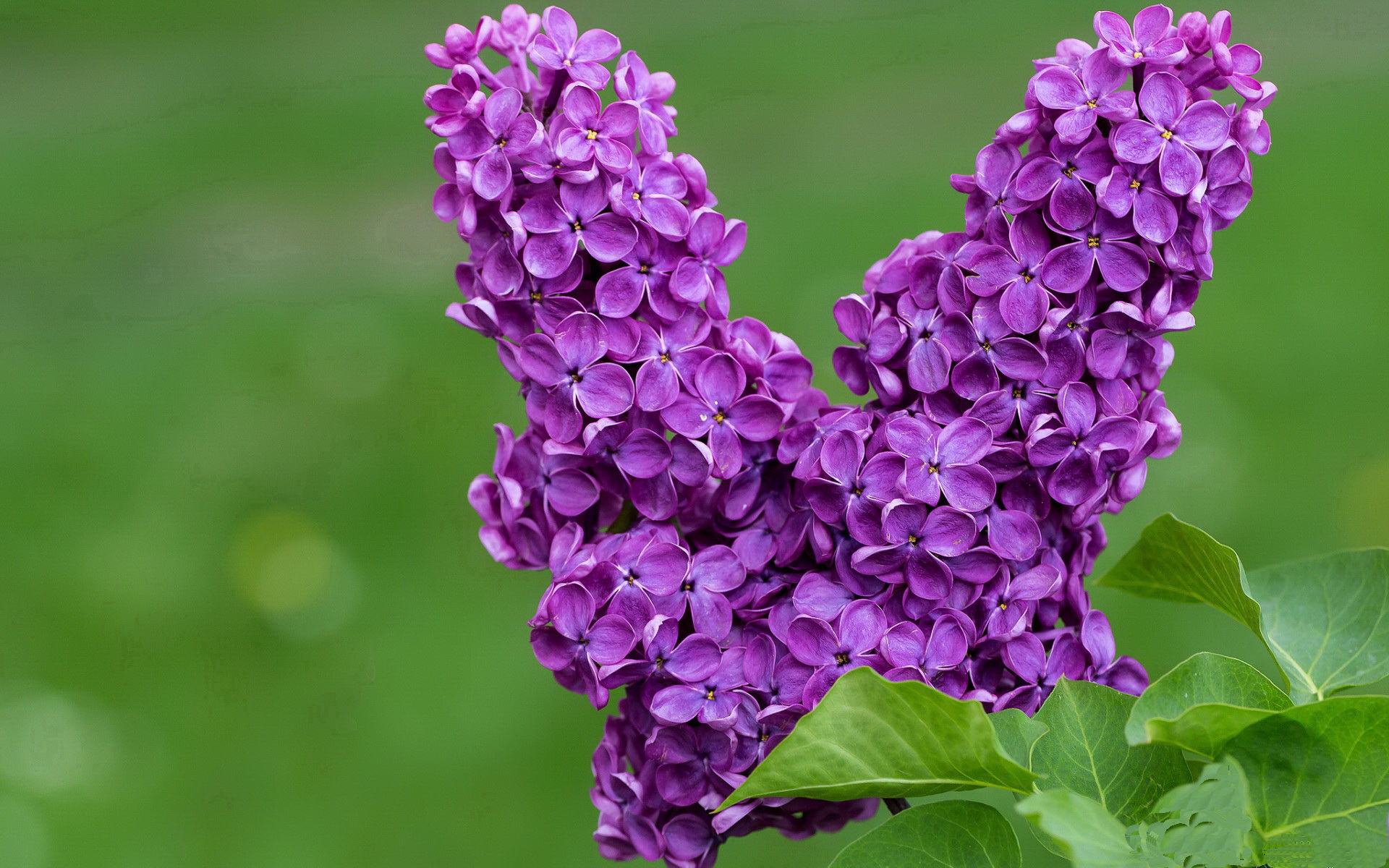 托尼一剑封喉定乾坤，哥斯达黎加逆境鏖战力克牙买加