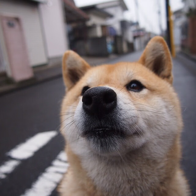 开云体育中国-淬火之战，上海加时克热浪，恩比德登顶霸权争夺