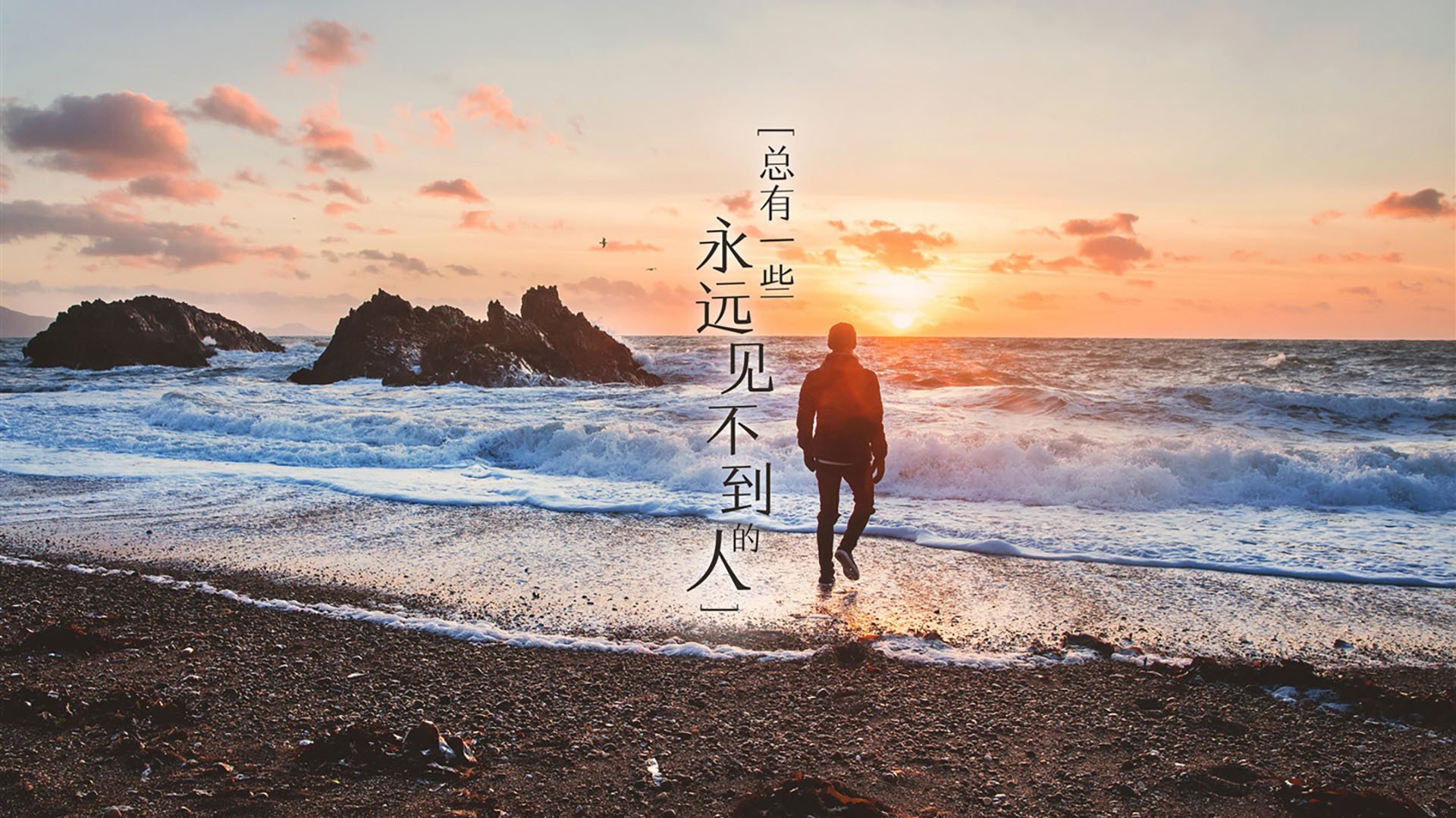 围城下的新王，森林狼铁血晋级与切特的欧洲加冕礼