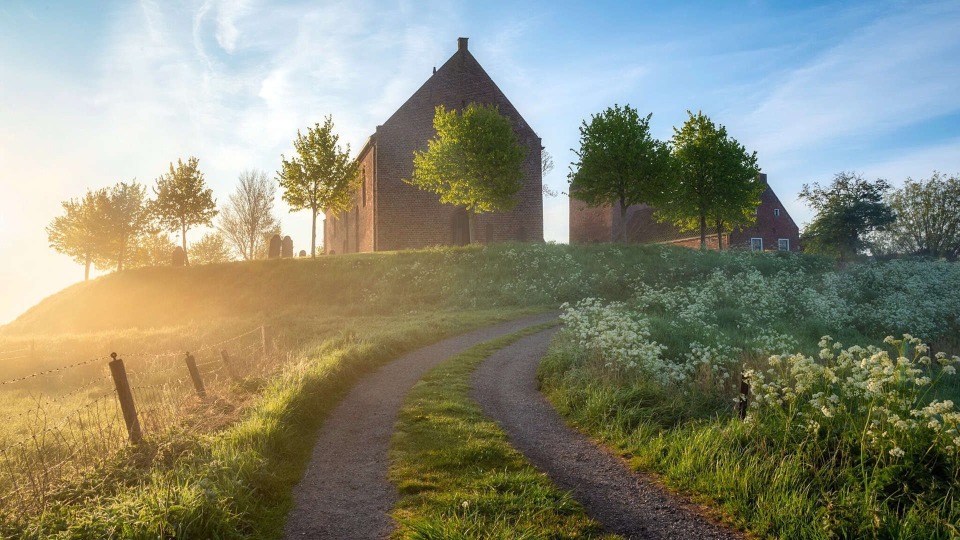 铁幕与狂沙，当尼斯在西决生死战中碾碎马里的最后野心