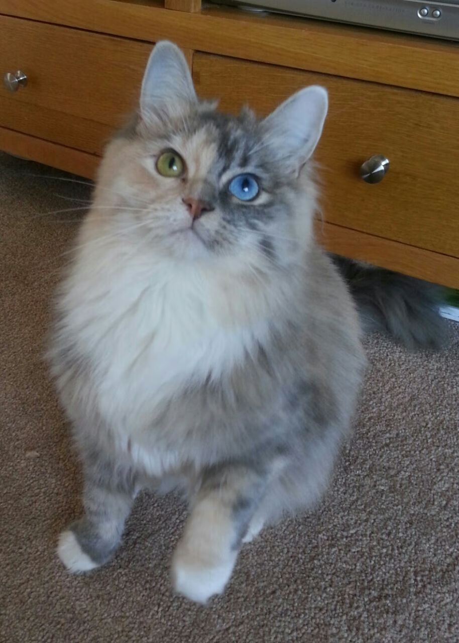 奥运关键战，尼斯单节拉开曼城，马丁内利接管比赛定乾坤