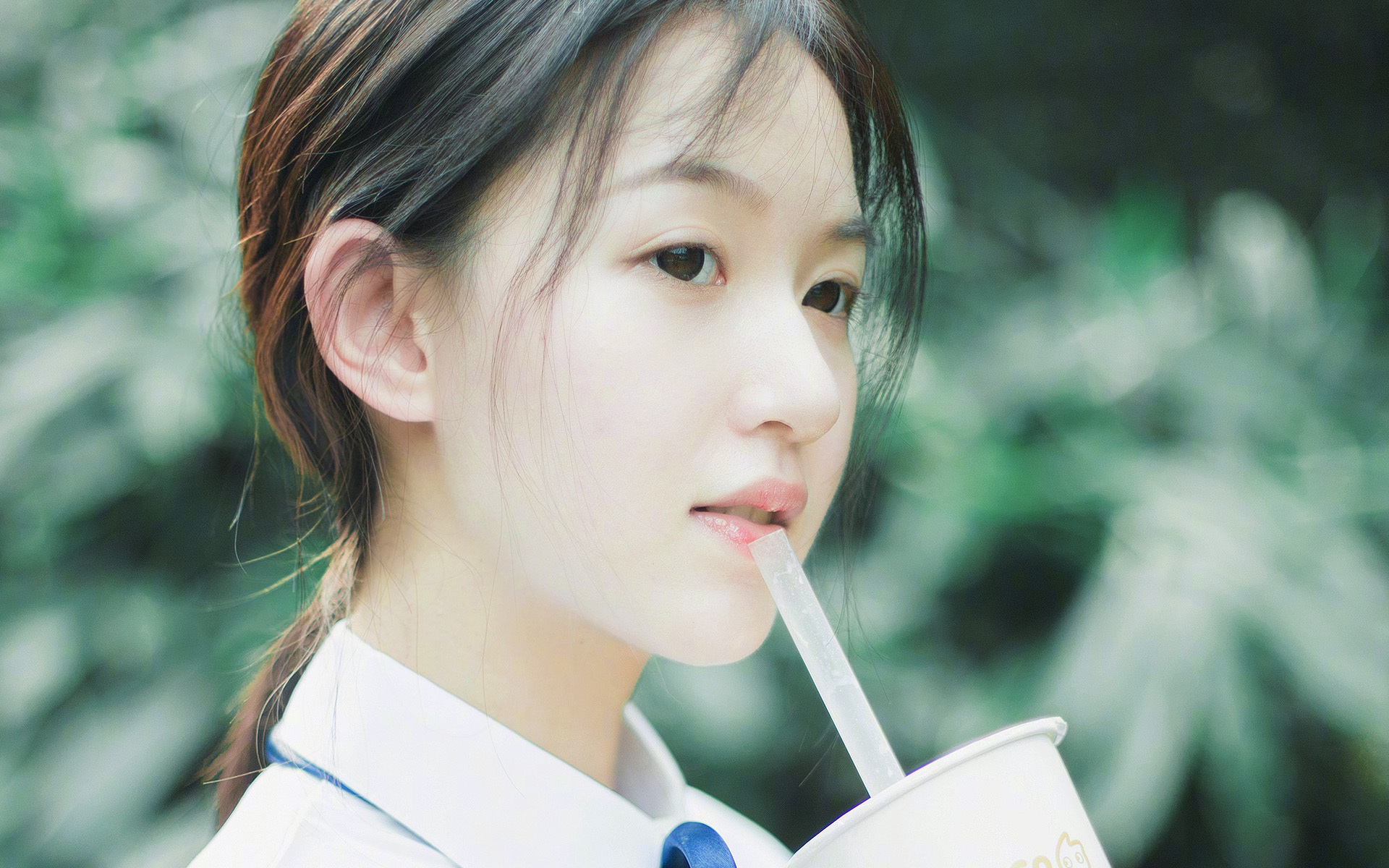 节奏为王，黄蜂的控场艺术与杰伦·格林的涅槃重生