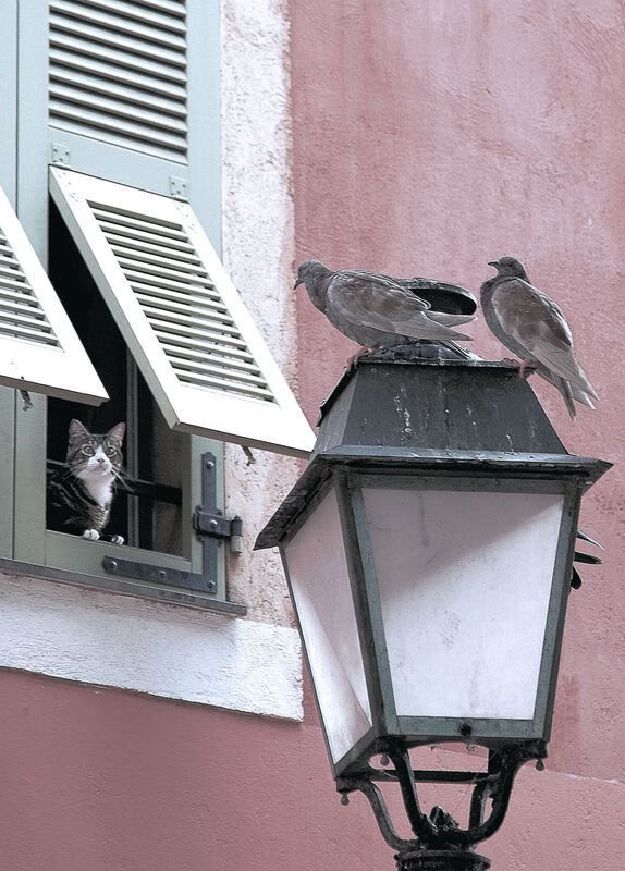 攻防转换的核心，罗德里在厄瓜多尔对阵摩纳哥中的关键作用