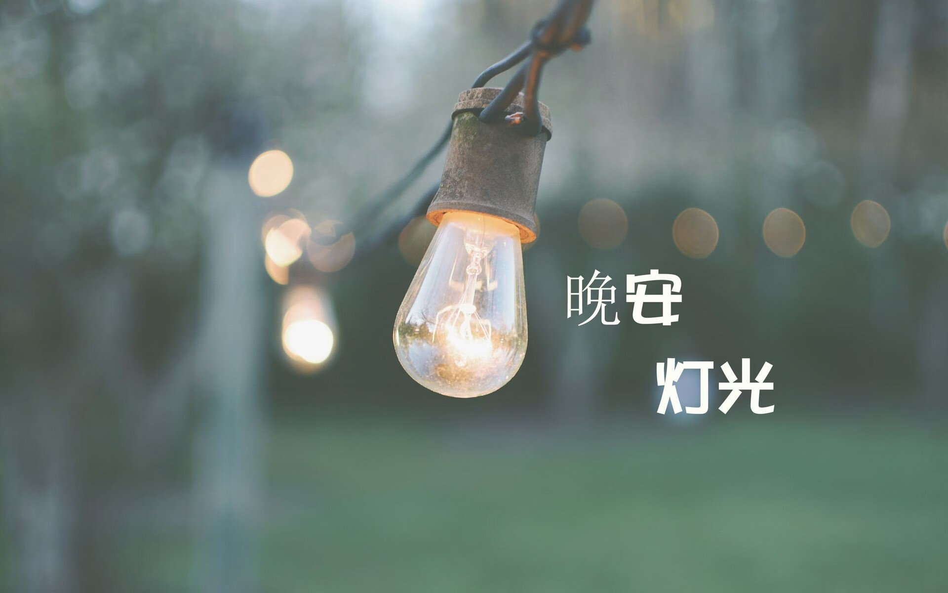 开云体育app-独行者的旗帜，2026世界杯F组关键战，泰国完胜冰岛，罗德里戈以一己之力书写亚洲足球新篇章