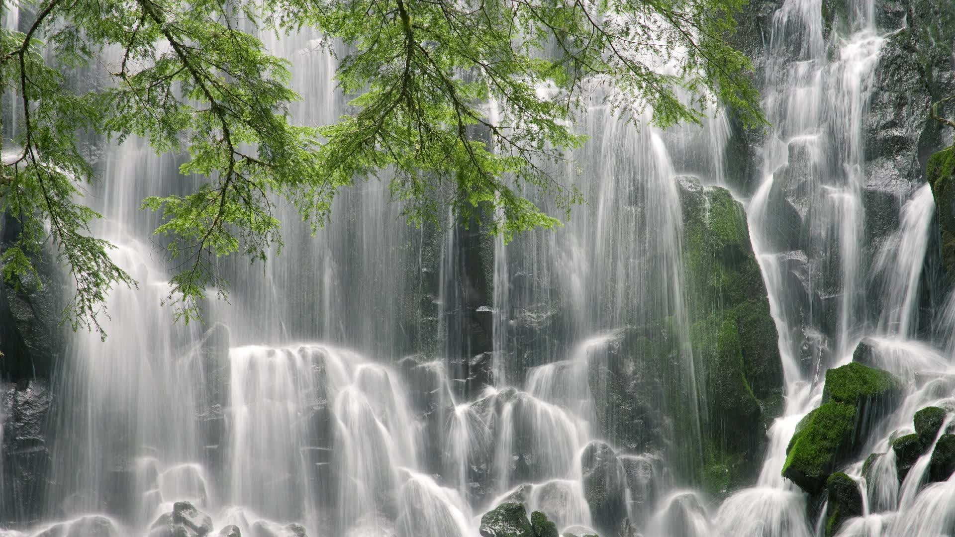 开云体育在线-孤勇者之战，当佩德里的手术刀划破德黑兰的钢铁防线
